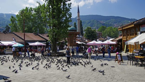 Bosnia (3)